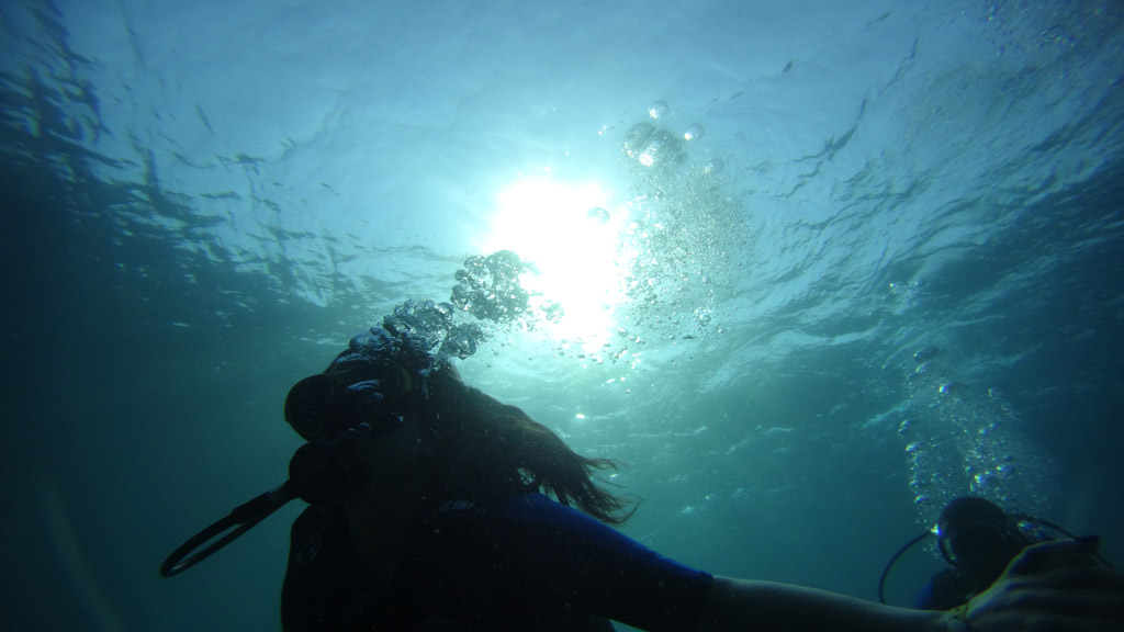 Underwater41