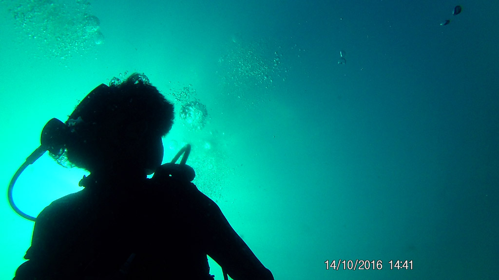 Underwater91